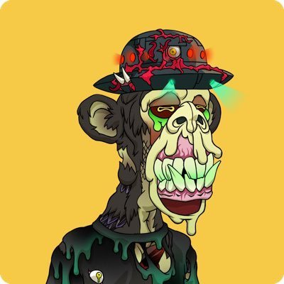 hien_o41982's profile picture. Crypto @wearapesthetics and @spiritdao