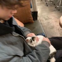 小白c_ (@ch_hhhhhhc) Twitter profile photo