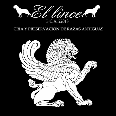 GastonVig93646's profile picture. 