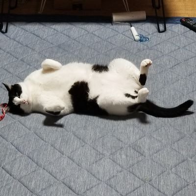 タカミチさんのプロフィール画像