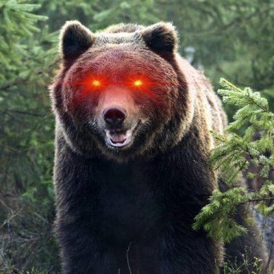 God & Countryš¦šŗšÆšµš©šŖOath-Keeper. Husband. Rancher. Patriot. Author. Pureblood. Rugby. Ju Jitsu. Warrior of the mountains, forged by God, family & firepower