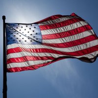 Lisa Kershner (@lisakershner4) 's Twitter Profile