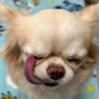 aaaaasahi_0502's profile picture. まぁまぁファッション・コスメが好きな方の独身女（30↑）。しかし結局はただのオタク。基本何か食べてるか買ってるよ。