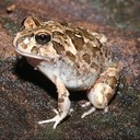 aaron fenner - @aaron_fenner - Twitter