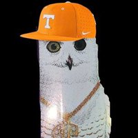 Very Rational Vol Fan (@rationalvol) 's Twitter Profile