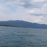 ななし (@r_wd32) 's Twitter Profile Photo