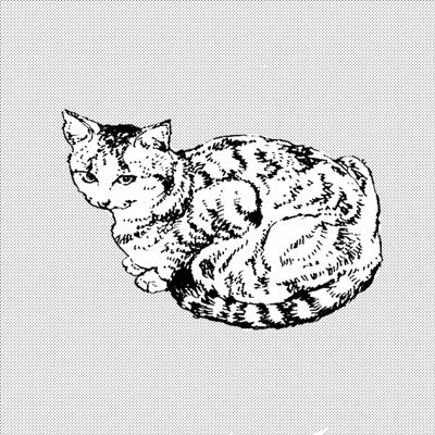 あそういちか ｸﾞﾙｰﾌﾟ展7/10-20さんのプロフィール画像