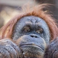 田山雄太郎 (@lemonpepper29) Twitter profile photo