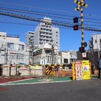 今日の下高井戸🍴坂津田圭 (@bonibullterrier) 's Twitter Profile Photo