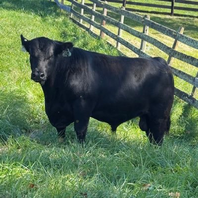 huber35111's profile picture. 