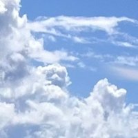 ぴょ𝟛 (@pyo_ri3) 's Twitter Profile
