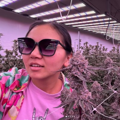 Daisey_enlite's profile picture. 