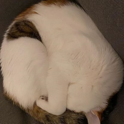 gy_fromthemoon's profile picture. 나는 네게서 배웠던 언어로 사랑을 발음해