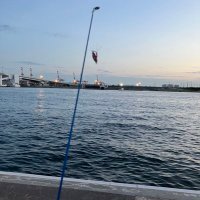 おきな (@gillchips) 's Twitter Profile