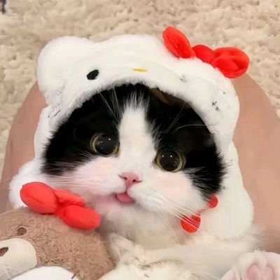 Silly Sod Watch Profile