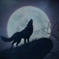 Crypto Enthusiast (@paulrob43246234) 's Twitter Profile