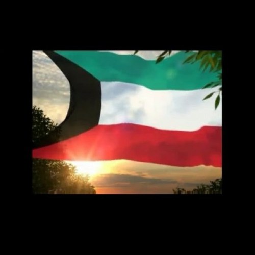 mynameq8's profile picture. 