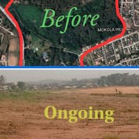 Save Ogunpa Forest Reserve (@save_ogunpafr) 's Twitter Profile Photo Save Ogunpa Forest Reserve (@save_ogunpafr) 's Twitter Profile Photo
