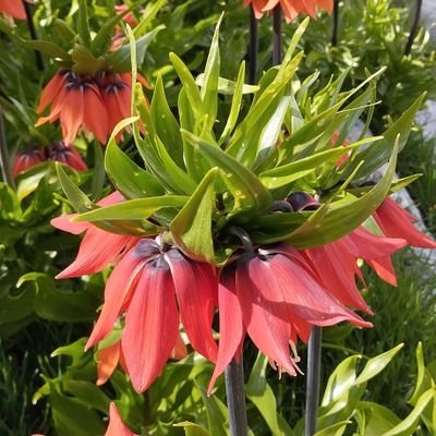 ali645508379333's profile picture. تفریع کوه نوردی شنا موتور سواری
تیراندازی شبگردی تنها 
آزاد