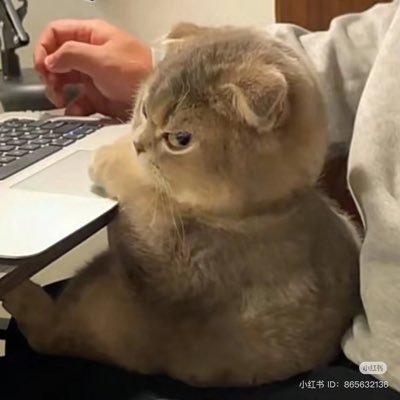 On the way to be an indie developer. | https://t.co/YeFkiuJKa6