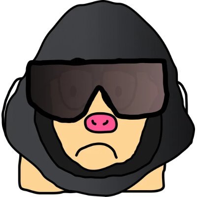 0xpidnam's profile picture. $BTC & $TON only