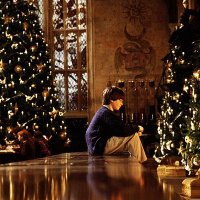 Harry Potter (Parody) (Active) (@gryphindorceleb) 's Twitter Profile