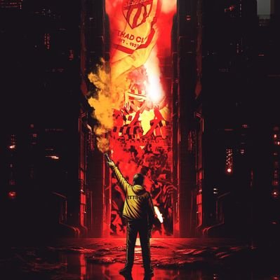 wn52wnwn's profile picture. 