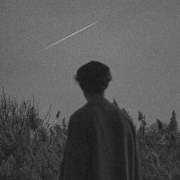 Anole🩺 (@a_anole) 's Twitter Profile