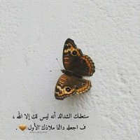 يآرب عفوك ورضاك 🌹 (@psaaralv2) 's Twitter Profile
