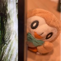 目論むモクロー (@rowlet_s_plan04) 's Twitter Profile