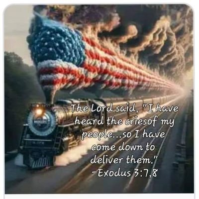 SunQ17RV's profile picture. Red pilled in 2017. Trump or bust 2024. Conspiracy realist and Truth seeker.