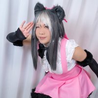 ハロ (@halo_kabe) 's Twitter Profile Photo ハロ (@halo_kabe) 's Twitter Profile Photo