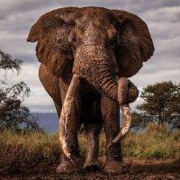 Kiprotich (@i_kiprotich) 's Twitter Profile Photo Kiprotich (@i_kiprotich) 's Twitter Profile Photo