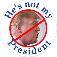 just an older hippie reliving the 60’s hate and injustice. Resistance is the best therapy for me. #fucktraitortrump. VOTE. USAF veteran 68-71. NO LISTS NO DMs