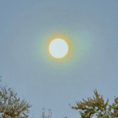 nebraskanobody's profile picture. HARRIS 2028?; PRO CHOICE; WOKE LIB; LGBTQ+ Ally 🏳️‍🌈; 🇺🇦; Use SARCASM & Sexual innuendo;BLM; Dad, Hubs,VET USMC&ARMY; Devoted #StephHead; BlueDot Nebraska