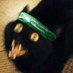 hann ☭ (@comradehann) Twitter profile photo hann ☭ (@comradehann) Twitter profile photo