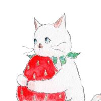비지캣 (@noreigrets) 's Twitter Profile