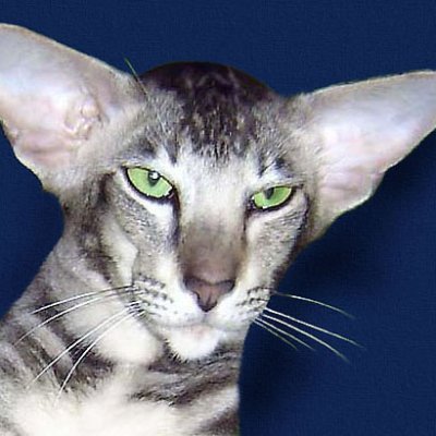 JohnnL_R's profile picture. 