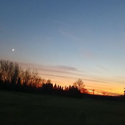 Russbenedict971's profile picture. 