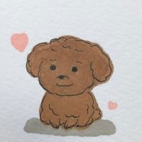 しおっちゃん🍓🌷🐩❤️ (@graysmap) 's Twitter Profile