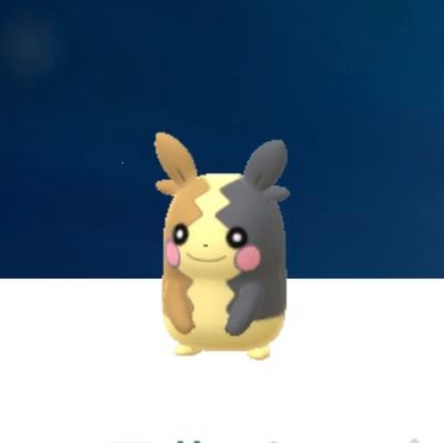 ポケモンGO/黄色/都内、神奈川あたりで活動/
ポケふた集め/