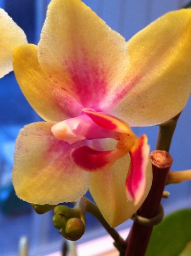 In search for Truth and Wisdom about Life Nature Love God
