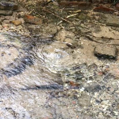 Betti_Moser's profile picture. Looking after the #RiverChelt.