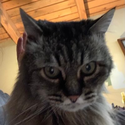 wweiman's profile picture. 