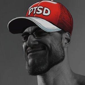 PTSDArchive's profile picture. Check the archive:

https://t.co/lQrv3pnLlq