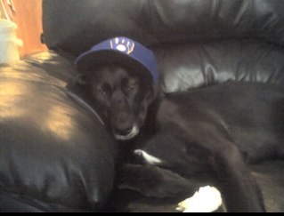 ZachVerette's profile picture. Milwaukee School of Engineering Alumn. Packer, Brewer, Notre Dame and Bayern München Fan. #HarleyDavidson