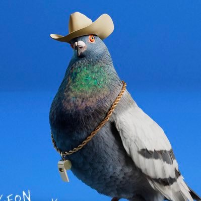 coronaboi88's profile picture. locks only mate