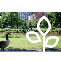 Aston Environment and Sustainability (@greenastonuni) 's Twitter Profile