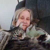 beverly (@beverly40501) 's Twitter Profile