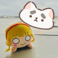 γγγγπͺ (@mokurin_cjmuse) 's Twitter Profile